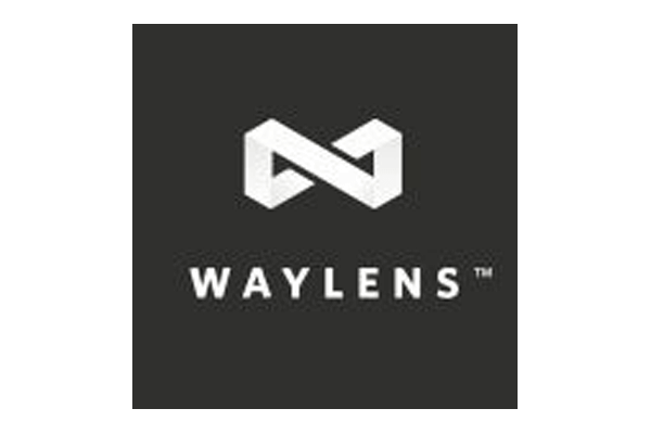 waylays logo